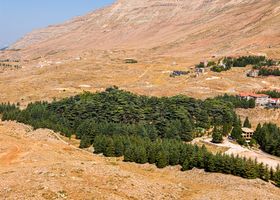 The Switchback Season