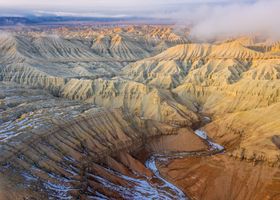 A Quiet Walk Through the High Desert